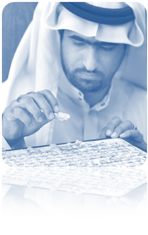 SASO认证(沙特) SASO认证(沙特)